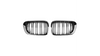 Grill BMW 3 E46 Dual Line Gloss Black