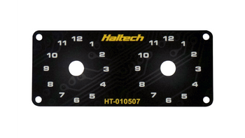 Dual switch panel