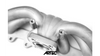 Toyota 1JZ VVTi Direct Replacement Exhaust Manifold