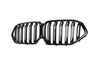 Grill BMW X6 G06 F96 Dual Line Gloss Black