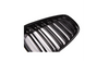 Grill BMW 5 F07 Dual Line Gloss Black
