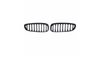 Grill BMW Z4 E89 Single Line Gloss Black