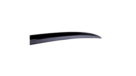Spoiler Tesla Model 3 Lip Gloss Black