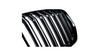 Grill BMW X5 G05 F95 podwójne żeberka Gloss Black