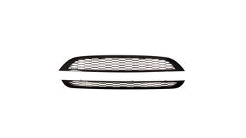 Grill MINI R50 R53 Gloss Black