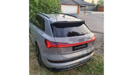 Splitter Audi e-Tron S-Line Rear Central with Diffuser