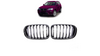 Grill BMW X3 F25 X4 F26 pojedyncze żeberka Gloss Black