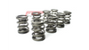 Valve springs VW / Audi 1.8 2.0 8V FCP