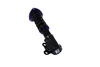 Street Suspension D2 Racing TOYOTA MRS W30 99-07