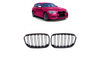 Grill BMW 1 F20 F21 Dual Line Carbon Look