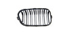 Grill BMW 3 F34 Dual Line Gloss Black