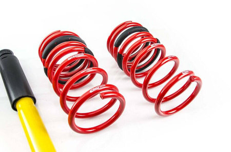 Suspension Lowering Kit MTS STREET INOX BMW E9