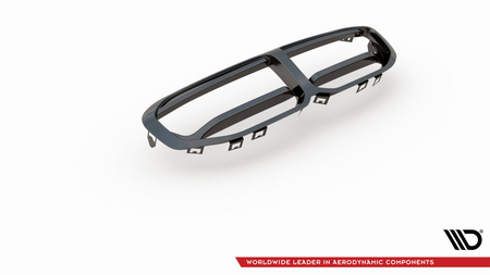 Carbon Fiber Front Grill BMW 1 F40 M-Pack/ M135i