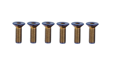 Decorative screws M5 15mm Neochrome