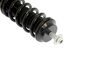 Street Suspension D2 Racing MINI COOPER S (R53) 01-06
