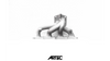 Mitsubishi Evo 10 4B11T Direct Replacement Exhaust Manifold