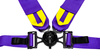 Racing seat belts Slide V2 Quick PURPLE 4P 3"