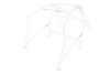 Bolt-in Roll Cage Renault Clio 2 Sport RS White