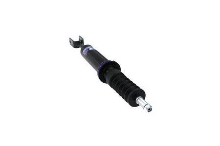 Street Suspension D2 Racing AUDI A4 B6 02-04