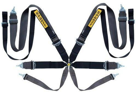 Racing seat belts Sabelt Saloon Gold 8-points (CCG833SND) FIA