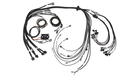 Elite 2500 & REM 16 Inj V8 terminated wiring set for GM, Ford and Chrysler small/large capacity V8 engines.