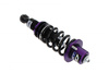 Street Suspension D2 Racing HONDA CIVIC ES1/2/3/ET2 00-05
