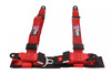 Racing seat belts 4p 2" D1Spec Red