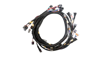 Terminated Engine Harness GM LS GEN3/4