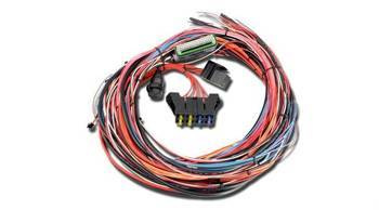 Universal Programmable EMS-4 Harness AEM ELECTRONICS