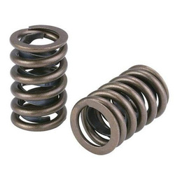 Supertech Nissan SR20VE 2.0L DOHC Dual Valve Spring Kit