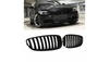 Grill BMW Z4 E89 Single Line Gloss Black