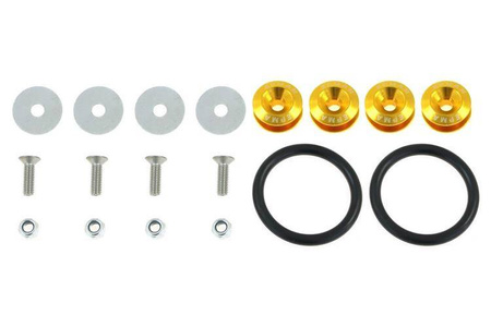 Bumper Trunk Fasteners Quick Release Gold