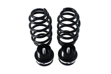 Street Suspension D2 Racing AUDI A3 HATCH 3D 8P ?50 03-12