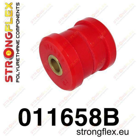 Rear lower inner swing arm bush