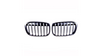 Grill BMW X1 F48