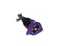Street Suspension D2 Racing MINI COOPER (R50) 01-06
