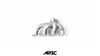 Mitsubishi Lancer Ralliart 4B11T Direct Replacement Exhaust Manifold