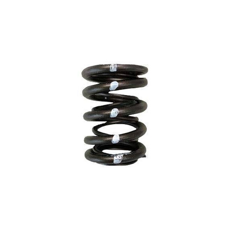 Brian Crower Valve Springs - Dual (Honda/Acura B18C/B16A/B17A, Nissan KA24DE) BC1010