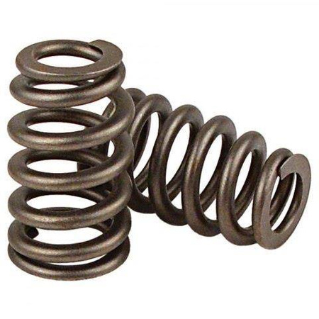  Valve spring kit kit BMW S54 24v 3.2 L / M3 / 2001 +