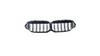 Grill BMW 2 F44 Dual Line Gloss Black