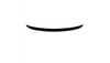 Lotka Mercedes-Benz SL R230 Lip Carbon Look