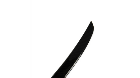 Lotka Mercedes-Benz CLS C219 Lip Carbon Look