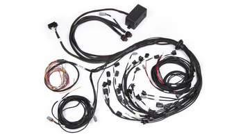 Elite 2500 engine wirening for Ford Falcon BA/BF Barra 4.0L I6 - Injector connector: Bosch factory EV1