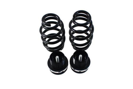 Street Suspension D2 Racing AUDI A3 HATCH 3D 8P 4WD ?55 03-12