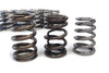 Beehive valve springs set TOYOTA SUPRA 1JZ-GE 2JZGE GTE 3.0L 24v DOHC