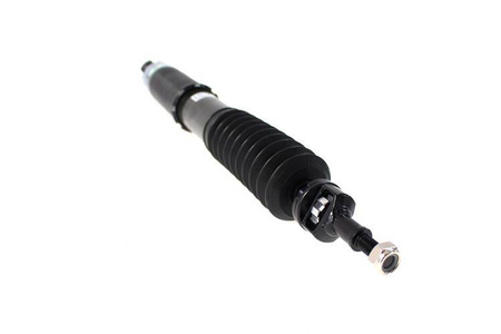 Street Suspension D2 Racing AUDI A3 SPORTBACK 8V ?50 (Rr Twist- beam Suspension) 12-20