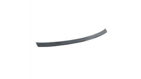 Lotka Mercedes-Benz CLS C218 Lip Carbon Look