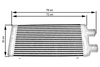TurboWorks Intercooler 600x300x76 inlet 3" same side