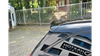 Spoiler Mercedes-Benz C S205 63AMG Dachowy Gloss Black