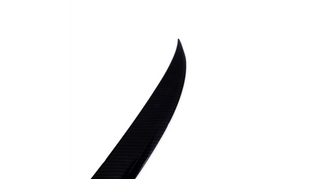 Lotka Mercedes-Benz SL R230 Lip Carbon Look